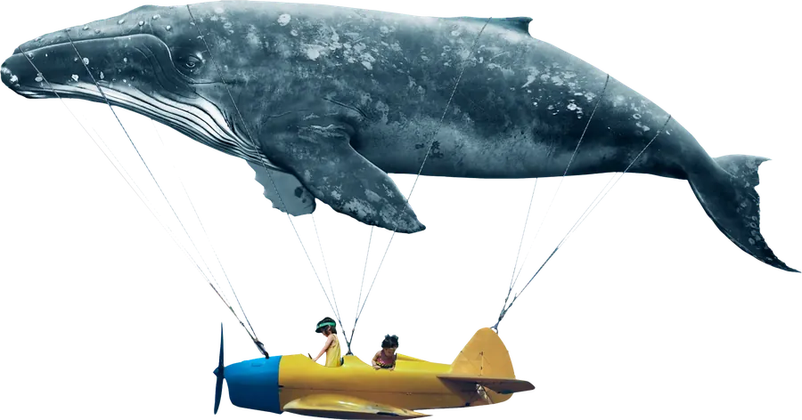 Una balena vola nel cielo e porta, appesa ai cavi, un aereo giallo con due bambini